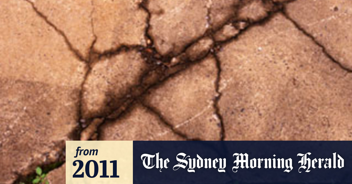 Qld businesses slipping through the cracks